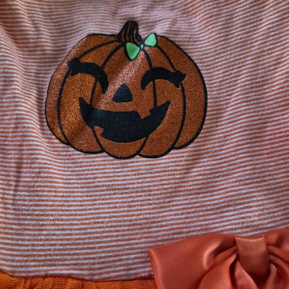 The Children's Place Pumpkin Dress with Orange Tulle. Snap Bottom, Adorable. - Picture 4 of 10